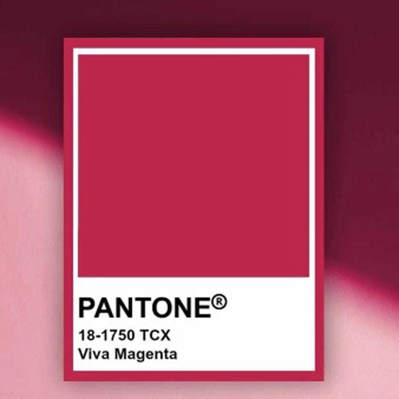 PANTONE 18-1750 Viva Magenta escreve uma nova narrativa - Jetclass