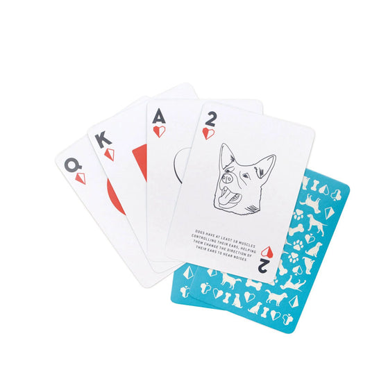 Dog Trivia Playing Cards Postboxed