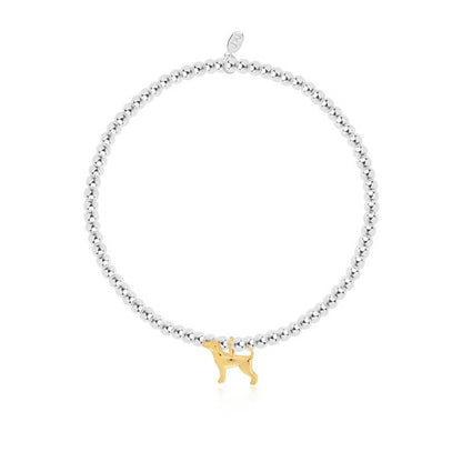 Joma Jewellery A Little Labradorable Bracelet