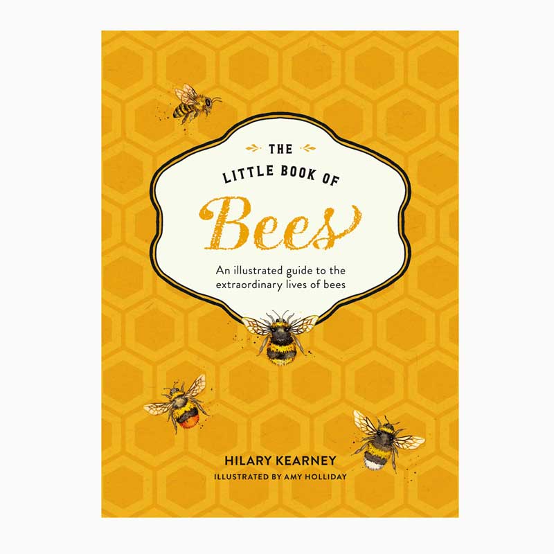 Little Book Of Bees Front Cover