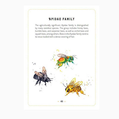 Little Book Of Bees Apidae family