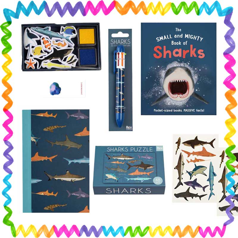 Shark Gift Box Postboxed