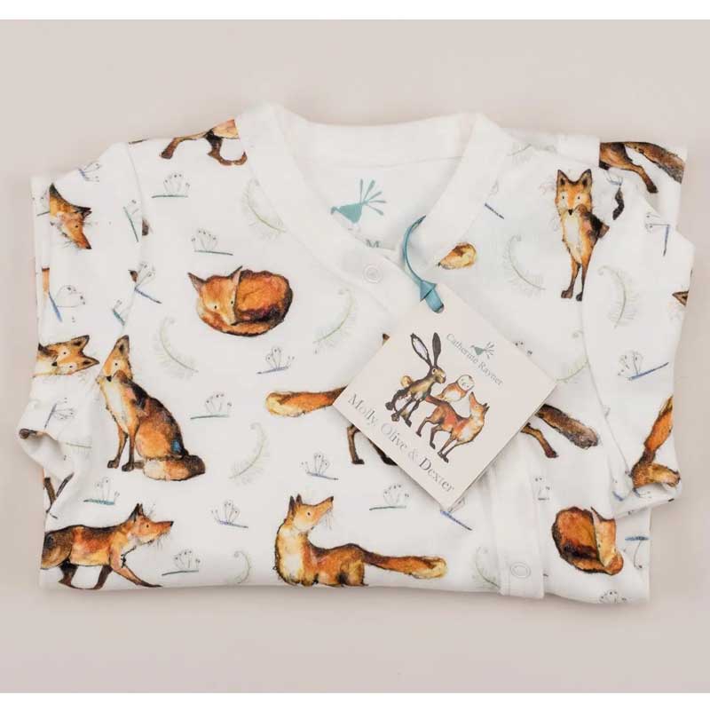 Catherine Rayner Dexter Fox Babygrow folded