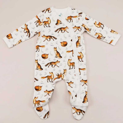 Catherine Rayner Dexter Fox Babygrow Flat