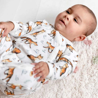 Catherine Rayner Dexter Fox Babygrow Baby