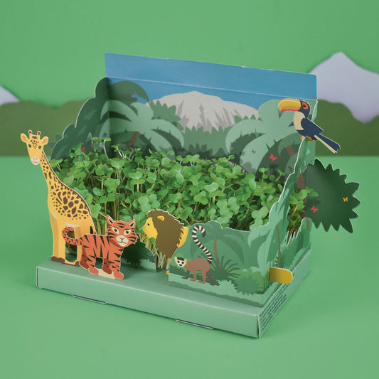 Jungle Gift Box