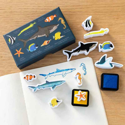 Shark Gift Box Postboxed