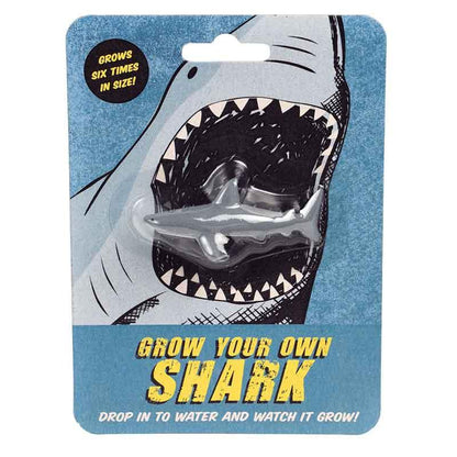 Grow Your Own Shark - Postboxed