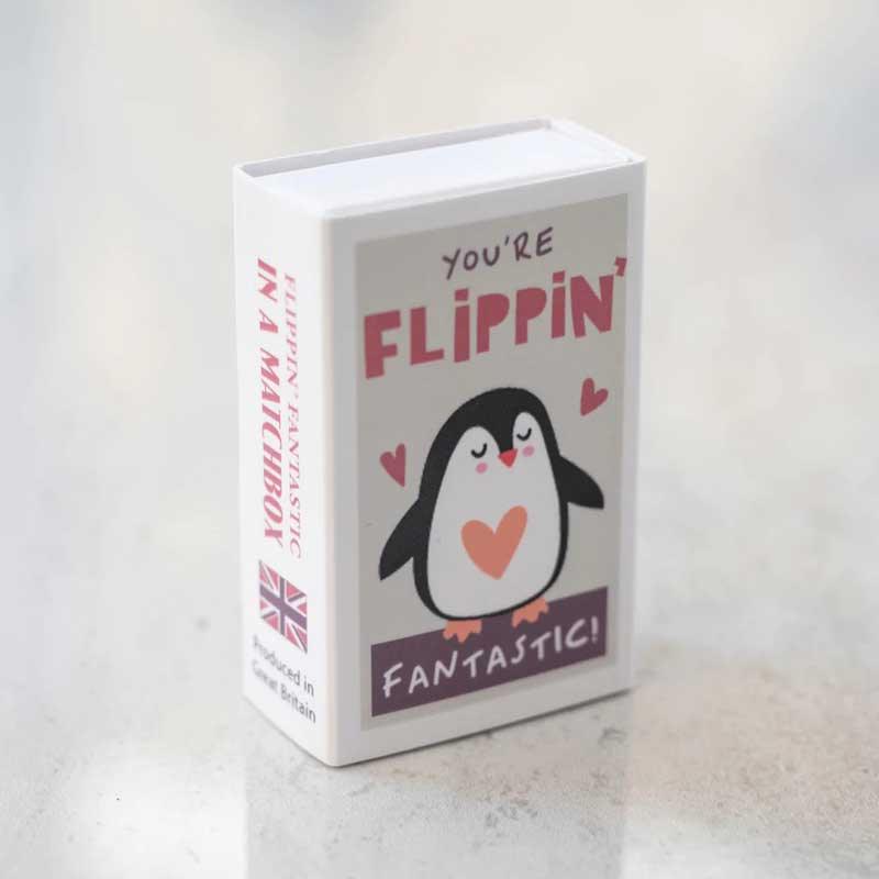 You're Flippin' Fantastic Penguin In A Matchbox - Postboxed